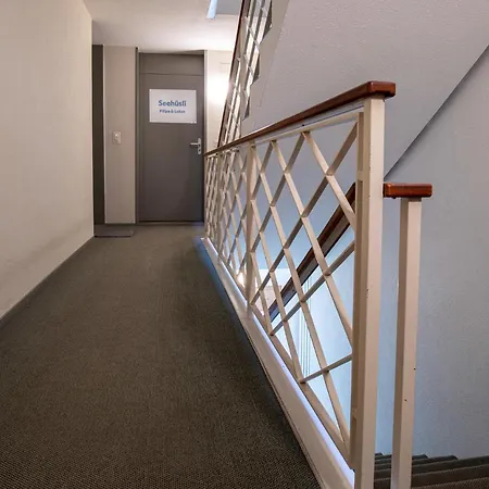 Appartement Seehuesli Near Interlaken, Grindelwald And Lauterbrunnen Därligen